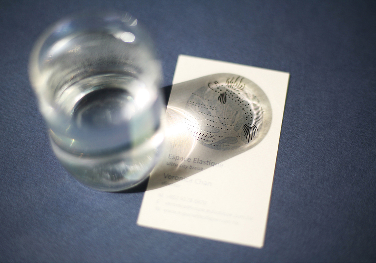 PORIGAMI_Espace elastique 01