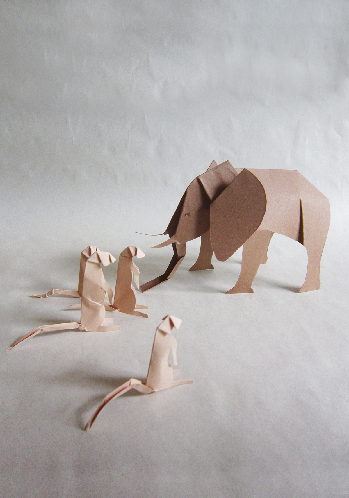 PORIGAMI_struny detem 02