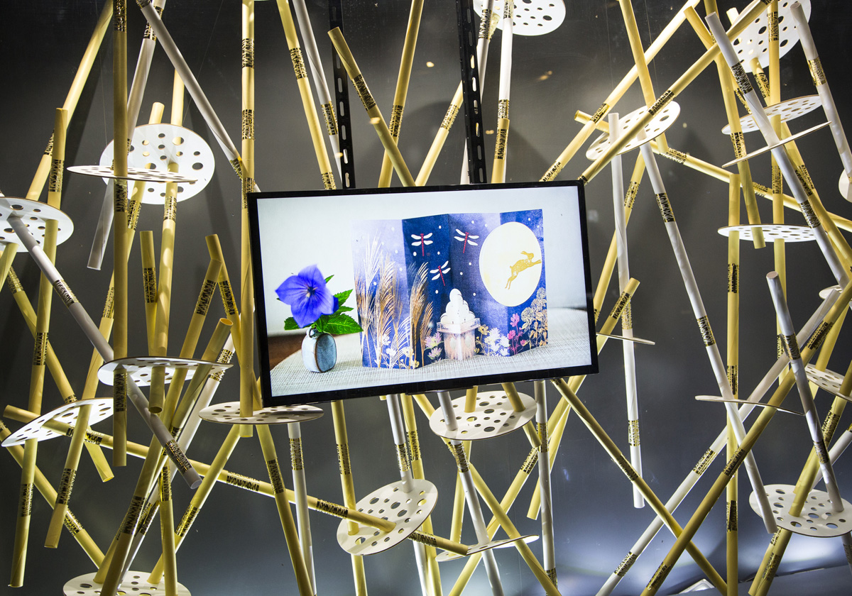 Terrada_summer 2018_04